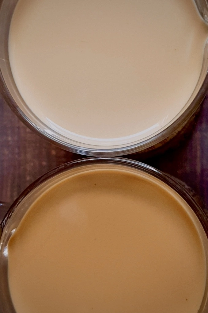 A close up side by side representation of royal milk tea and regular milk tea 