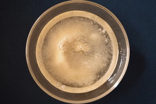 Top view of a glass bowl with water and gelatin powder in it